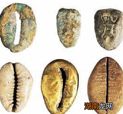 古代最早的货币是贝壳 古人为何不去捡贝壳发家