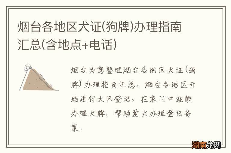 狗牌 烟台各地区犬证办理指南汇总(含地点+电话)