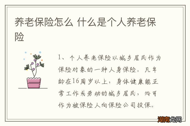 养老保险怎么 什么是个人养老保险