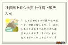 社保网上怎么缴费 社保网上缴费方法