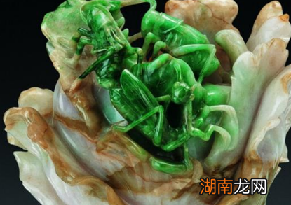 慈禧为什么要杀珍妃 说白了就是因为一颗白菜