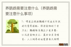 养鹦鹉需要注意什么事项 养鹦鹉需要注意什么