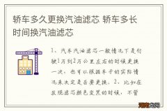 轿车多久更换汽油滤芯 轿车多长时间换汽油滤芯