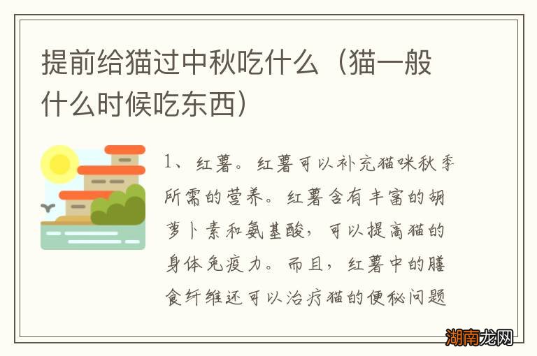 猫一般什么时候吃东西 提前给猫过中秋吃什么