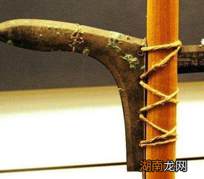 秦国的军队战斗力为何如此强悍 该制度极大调动了军队战斗力