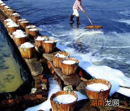 古代贩卖私盐抓到会坐牢 为何卖咸鱼却没有事情