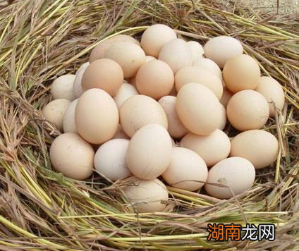 清朝答应等级到底有多低 几乎没有机会联系皇帝