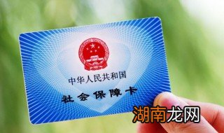 怎么查询社保号 如何查询社保号