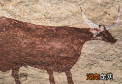 古代牛肉真的不能吃吗 为何吃牛肉会犯法