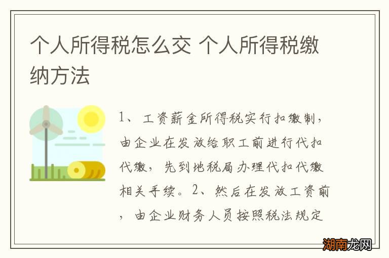 个人所得税怎么交 个人所得税缴纳方法
