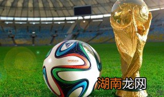 2002年世界杯亚洲几个名额 世界杯2002年亚洲几个名额