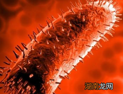 古代没有狂犬一面 古人被狗咬了都是怎么处理的