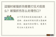 逗猫时被猫抓伤需要打狂犬疫苗么？被猫抓伤怎么处理伤口？