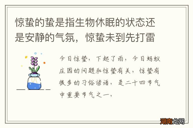 惊蛰的蛰是指生物休眠的状态还是安静的气氛，惊蛰未到先打雷好不好？