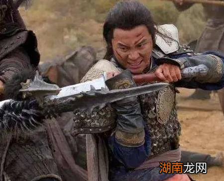 岳飞死后 金国为什么不趁机南下攻打南宋