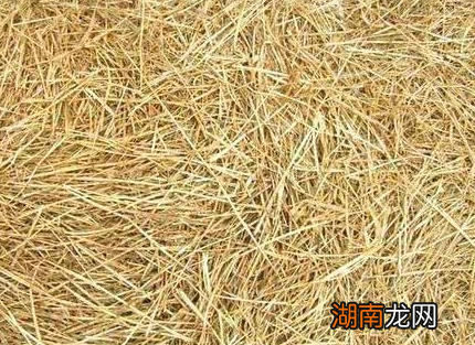 宋朝以前是没有棉被的 古人冬天都是怎么度过去的