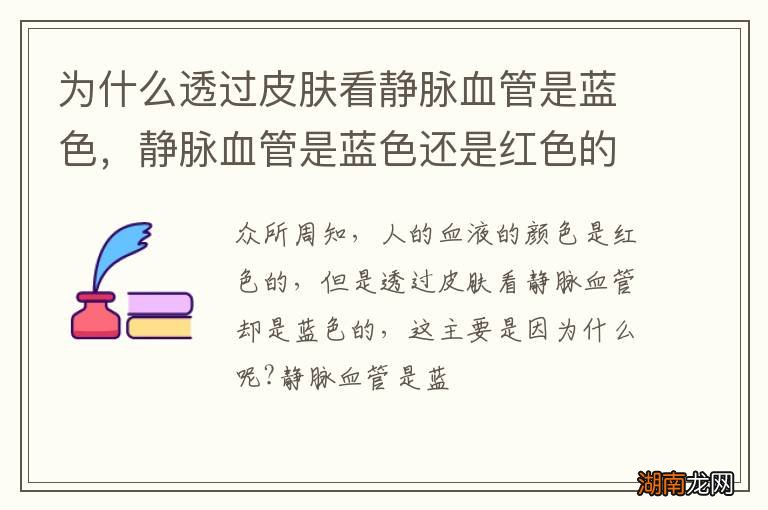 为什么透过皮肤看静脉血管是蓝色，静脉血管是蓝色还是红色的?