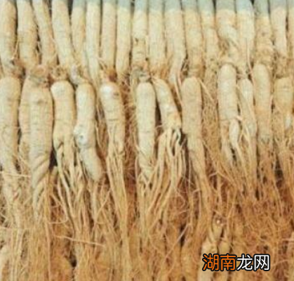 清朝时期吃白菜也有罪吗 唐文尧吃水煮白菜为什么会被雍正满门抄斩