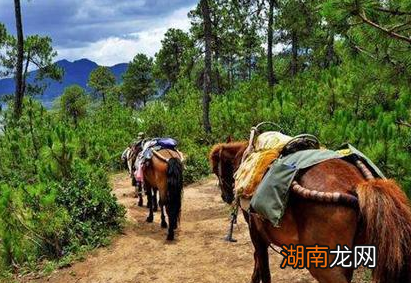 古人出门一趟需要花费一年的积蓄 古人出门的成本为什么会那么高