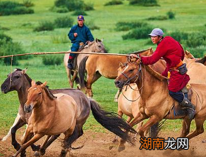 古代游牧民族顿顿都吃肉吗 看完别被电视剧给带偏了