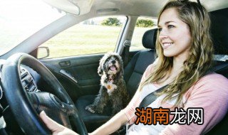 新手怎么判断方向盘 新手怎么判断方向盘是否回正