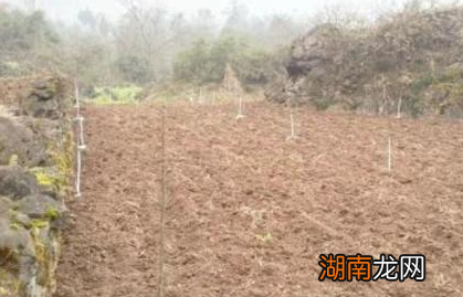 古代穷人为什么辛辛苦苦的给地主打工 而不是自己的开荒种地自给自足