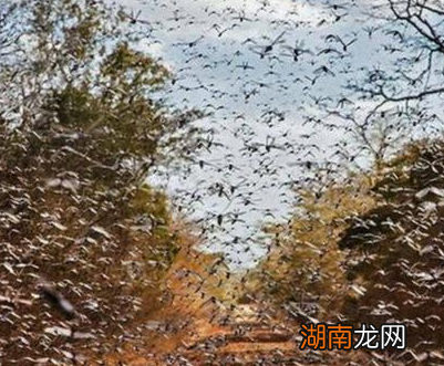 古代穷人为什么辛辛苦苦的给地主打工 而不是自己的开荒种地自给自足