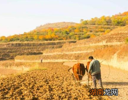 古代穷人为什么辛辛苦苦的给地主打工 而不是自己的开荒种地自给自足