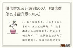 微信群怎么才能升级500人 微信群怎么升级到500人