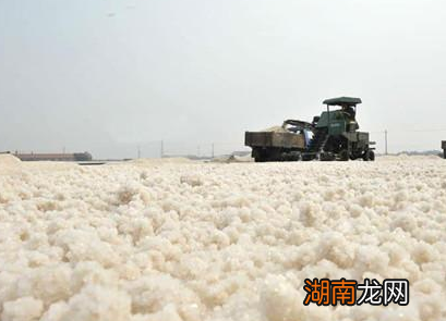 古代商人是如何发家的 基本都离不开这两件东西