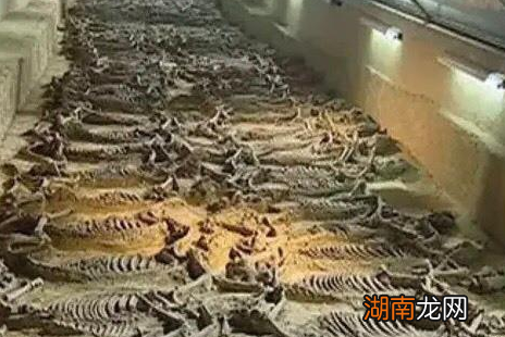 古代妃子给皇帝殉葬不想死怎么办 有没有办法可以不死