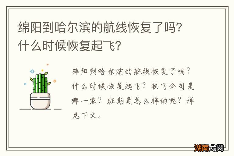 绵阳到哈尔滨的航线恢复了吗？什么时候恢复起飞？