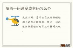 陕西一码通变成灰码怎么办