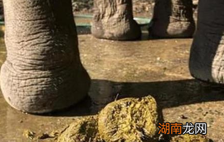 古代青楼女子是如何避孕的 她们都用哪些奇葩的方式和方法