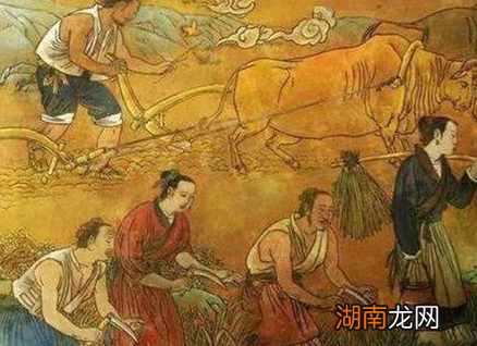 古代粮食不够吃 古人为什么不去开垦荒地