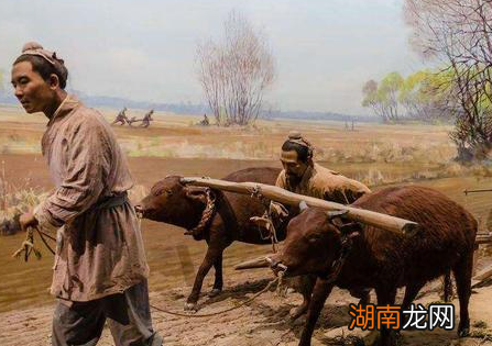 古代粮食不够吃 古人为什么不去开垦荒地