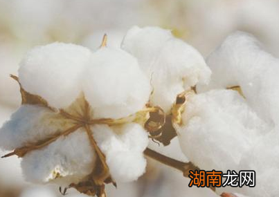 在没有棉被之前的冬天,古人是怎么度过的