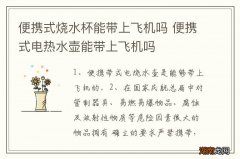 便携式烧水杯能带上飞机吗 便携式电热水壶能带上飞机吗