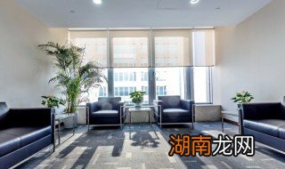 家里客厅放竹子有什么讲究 客厅里放竹子好吗