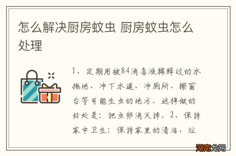 怎么解决厨房蚊虫 厨房蚊虫怎么处理