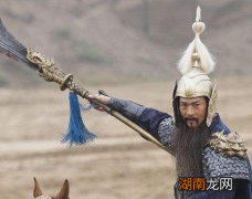 北宋灭亡时杨家将为什么没有出现 他们到底去了哪里