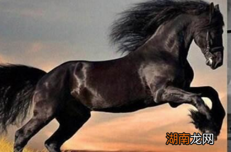 揭秘：曹操为什么舍得把赤兔赐给关羽？