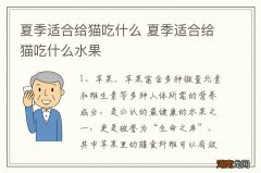 夏季适合给猫吃什么 夏季适合给猫吃什么水果