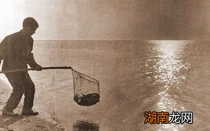 古代闯关东为什么要去严寒之地 而不是选择富裕的南方