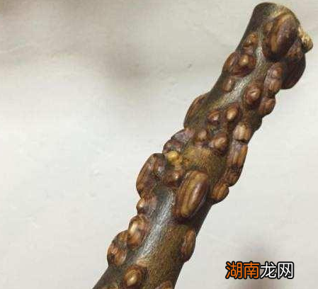 古代拿来当工资用的木头 如今遍地都是很十分的便宜