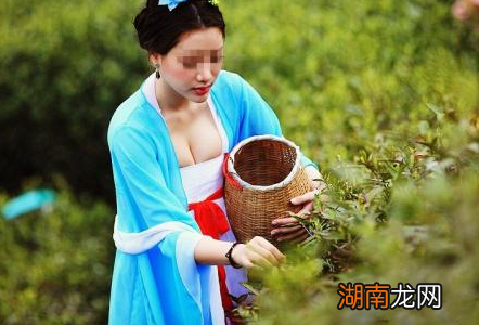 唐朝的审美真的是以胖为美吗 真相到底是什么样的