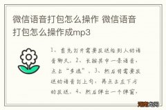 微信语音打包怎么操作 微信语音打包怎么操作成mp3
