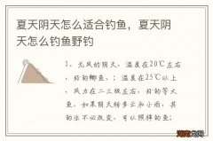 夏天阴天怎么适合钓鱼，夏天阴天怎么钓鱼野钓