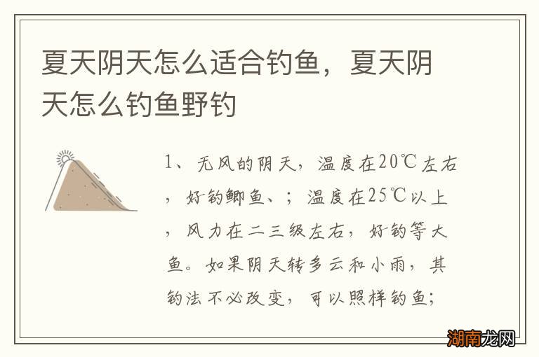 夏天阴天怎么适合钓鱼,夏天阴天怎么钓鱼野钓