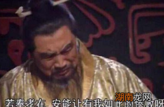 俗话说郭嘉不死,便无三国 这种说法有没有道理